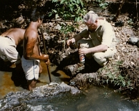 Oil Seep Photo