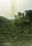Wolf Branch Photo